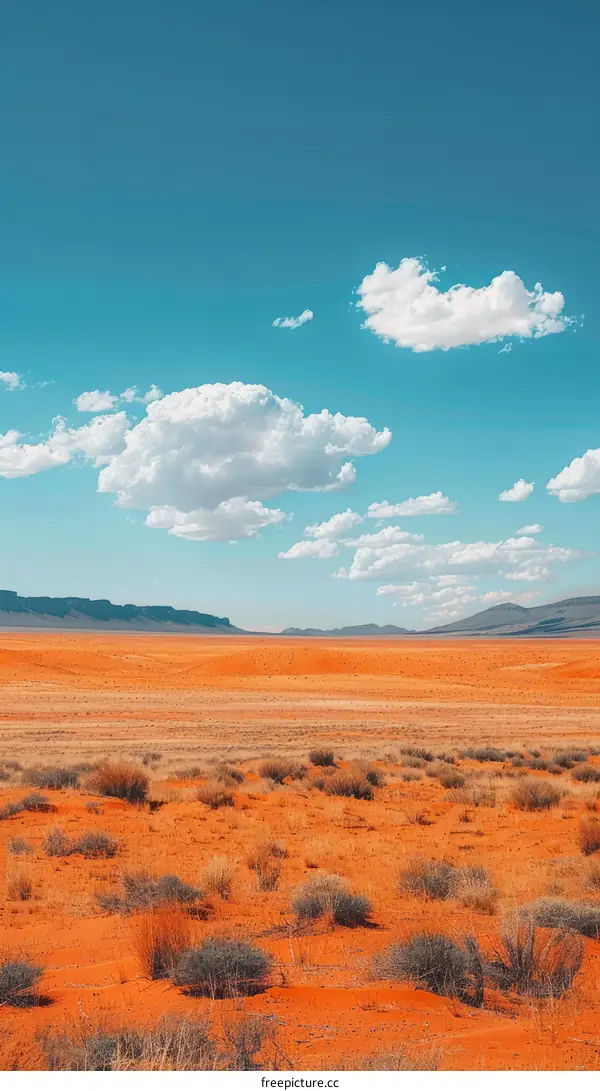 A vast desert landscape with a clear blue sky and white clouds
