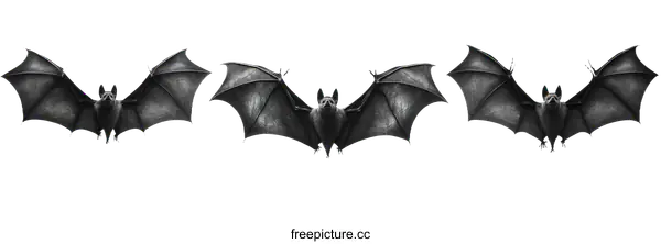 [Transparent Background PNG]Three Bats in Flight, Detailed Illustration