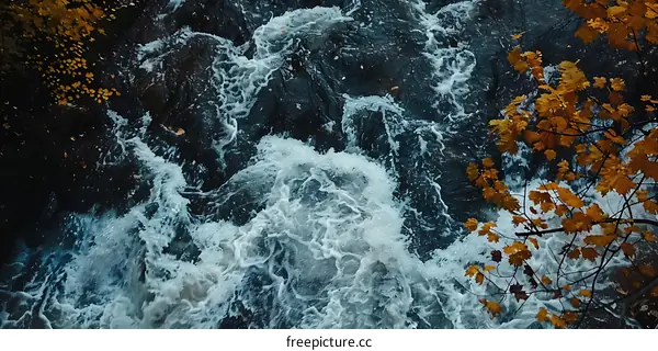Water Flowing Through Stream in Autumn