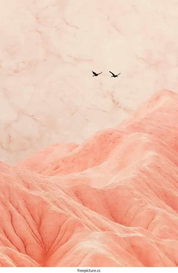Pink Desert Mountains with Two Birds Flying