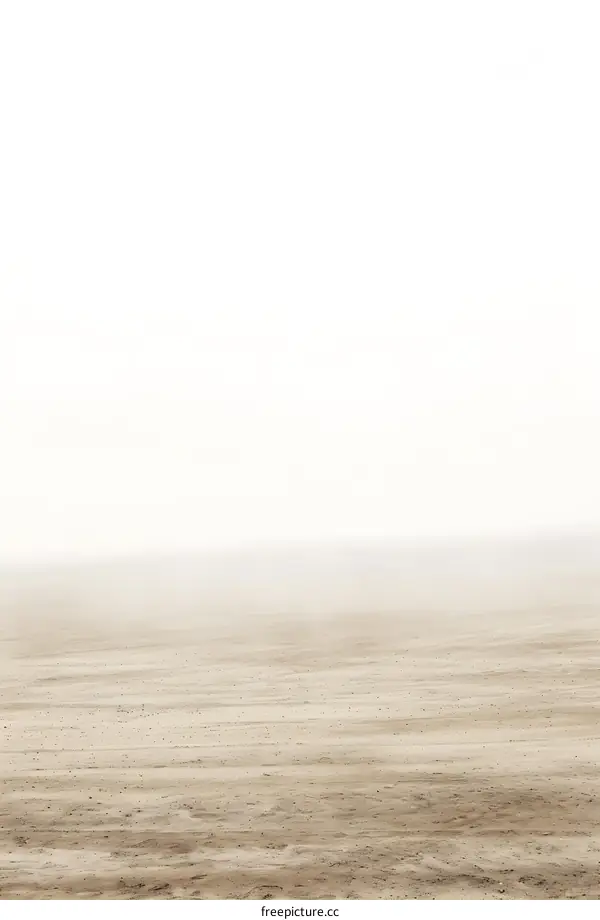 Foggy Field with Brown Ground