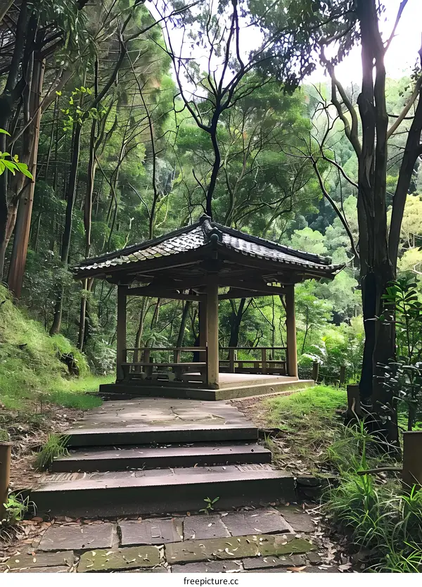A traditional Japanese gazebo in a lush green forest