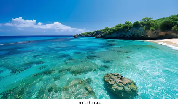 Amazing blue water at tropical beach with white sand