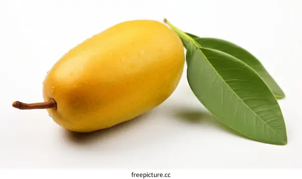 Close-up image of a star apple fruit with green leaves