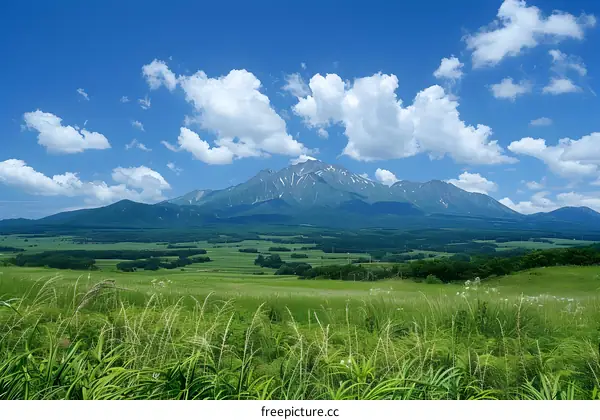 Mount Asma seen from the Asama Ranch in the summer
