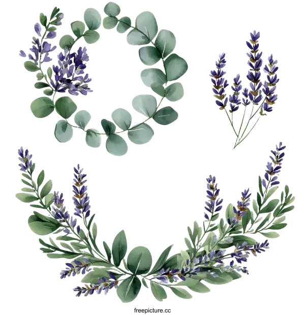 [Transparent Background PNG]Floral Wreath Design with Lavender and Eucalyptus