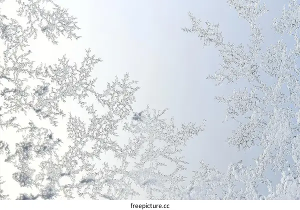 Frozen Window Pattern Abstract Background