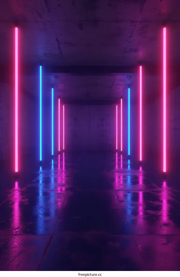 Pink and Blue Neon Lights in a Dark Room