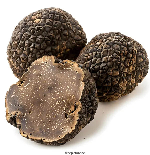 Black Truffles on White Background