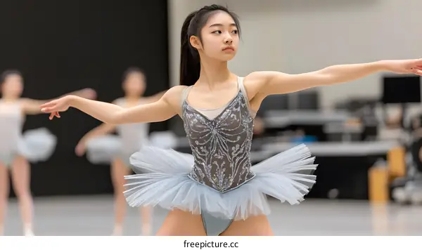 Young Ballet Dancer Practicing In Studio