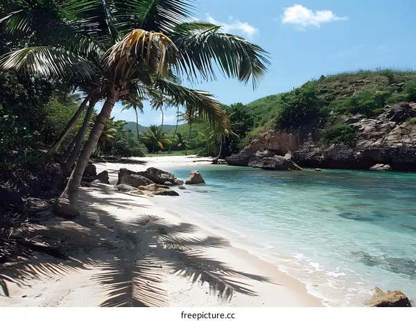 Palm trees on a beach with white sand and blue water