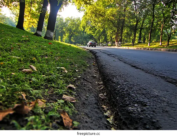 Asphalt Road Beside a Grassy Park