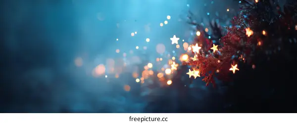 Night Lights Sparkle on a Winter Evening