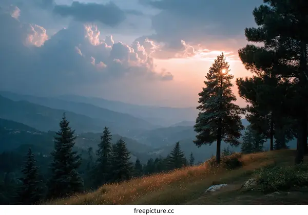 Sunset over Mountainous Landscape with Pine Trees
