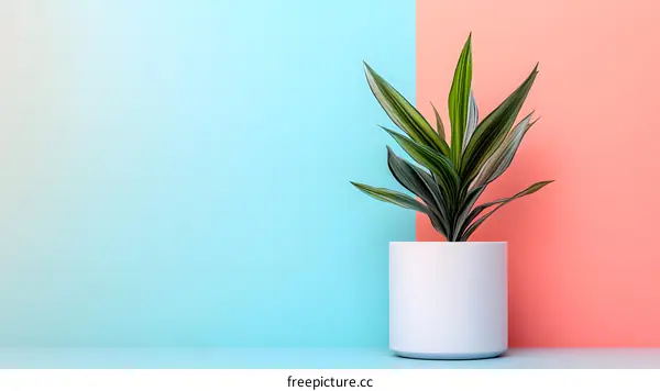 Minimalist Green Plant in White Pot on Blue and Pink Background