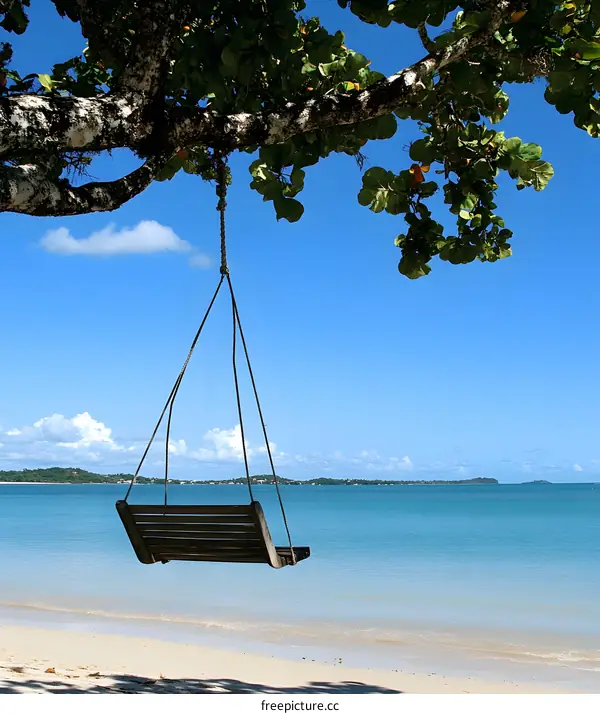 Tropical Beach Swing Hanging from Tree with Ocean View