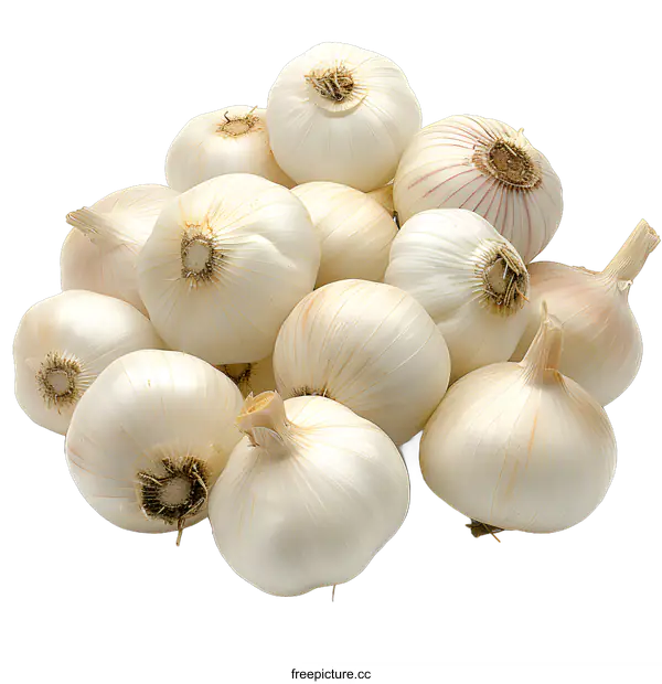 [Transparent Background PNG]A pile of white garlic bulbs