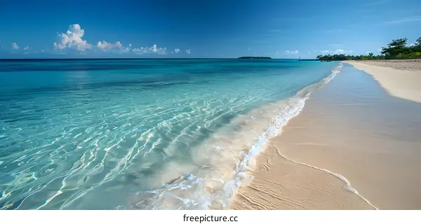 Beautiful Beach Shore with Turquoise Waters