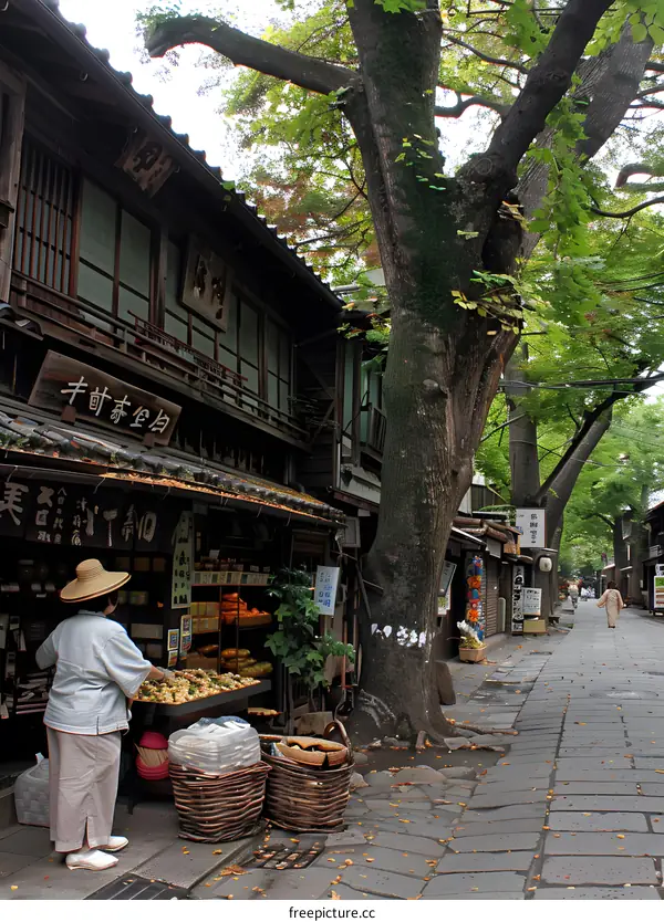 Traditional Japanese Street with Store and Person