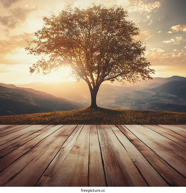 Sunset Landscape With Single Tree On Hill