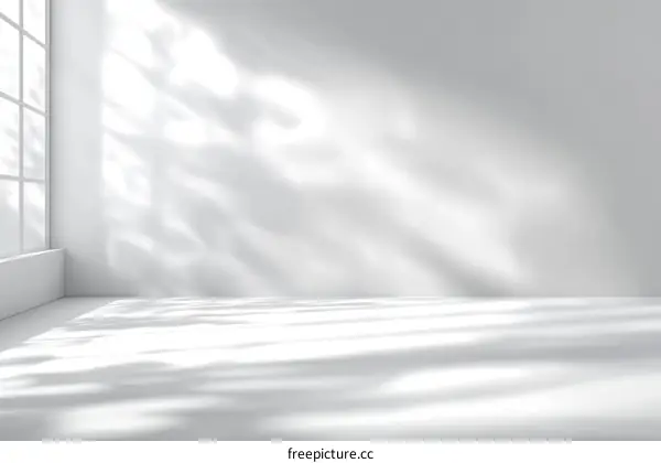 Empty White Room with Natural Light and Shadows