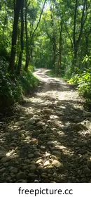 biodiversityphotography