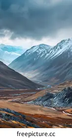 himalayan