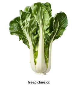 bok choy