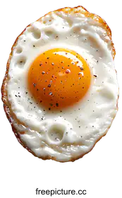 egg