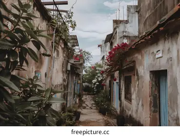 vietnam