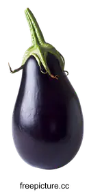 eggplant