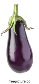 eggplant