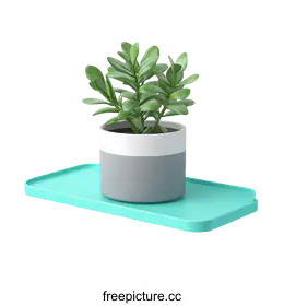 plant decor