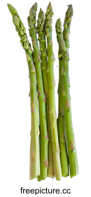 asparagus