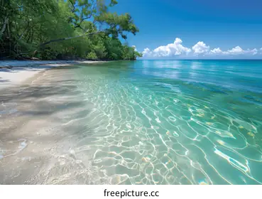 biodiversityphotography