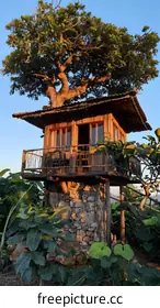 treehouse