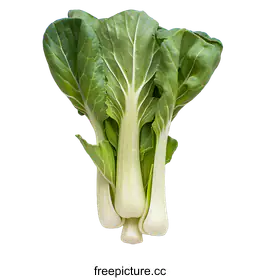 bok choy