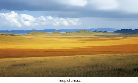 plains