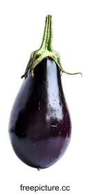 eggplant
