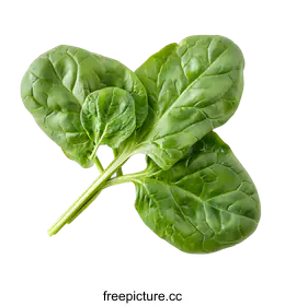 spinach