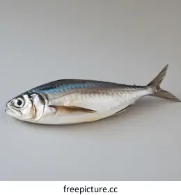 fine art photography