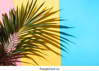 palm