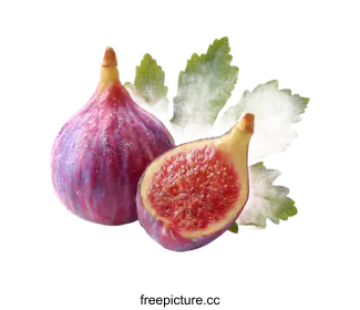fig