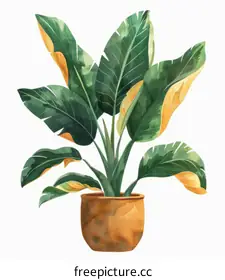 potted plant