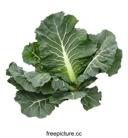 collard