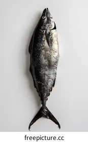 tuna