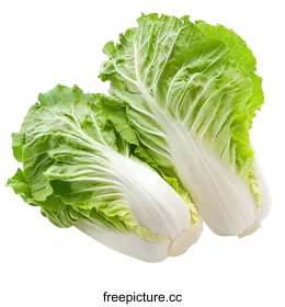cabbage