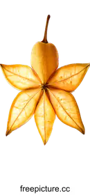 starfruit