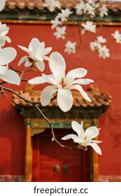 chinoiserie