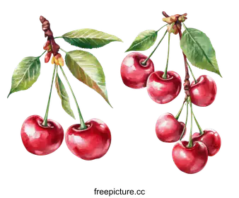 cherries